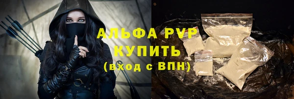 прущие грибы Аркадак