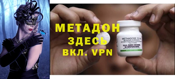 прущие грибы Аркадак
