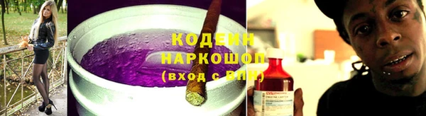 прущие грибы Аркадак
