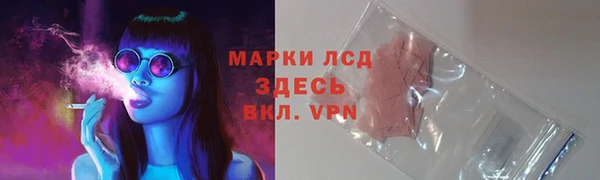 прущие грибы Аркадак