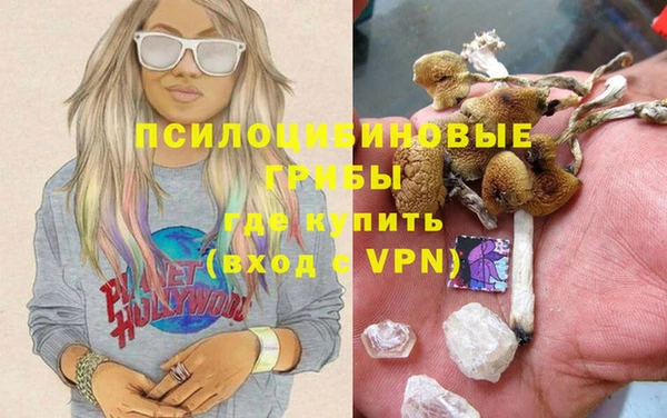 прущие грибы Аркадак